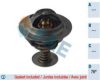 FAE 5345976 Thermostat, coolant